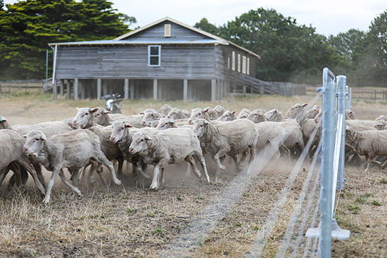 Rural Fencing-1