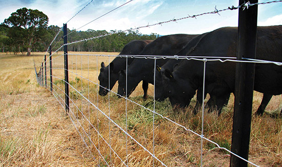 Rural Fencing